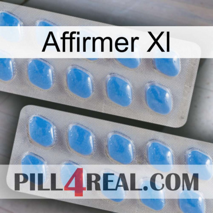 Affirm Xl 23